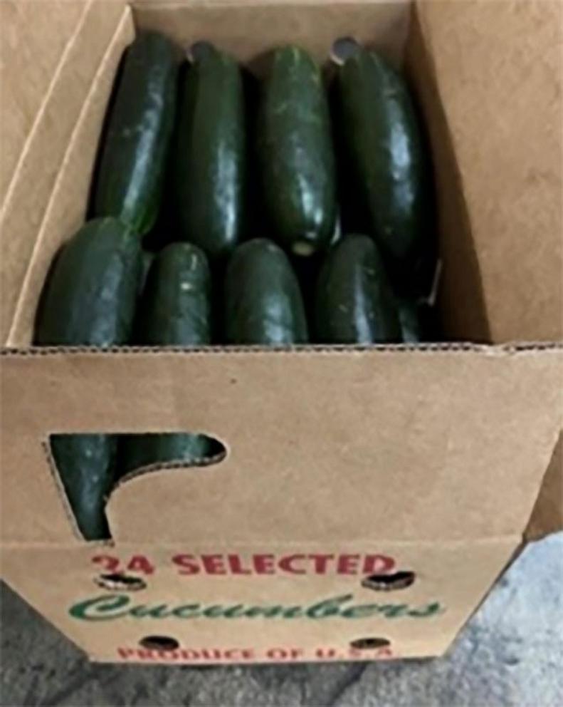 PHOTO: The Centers for Disease Control and Prevention has issued a warning for a multistate outbreak of salmonella linked to cucumbers.