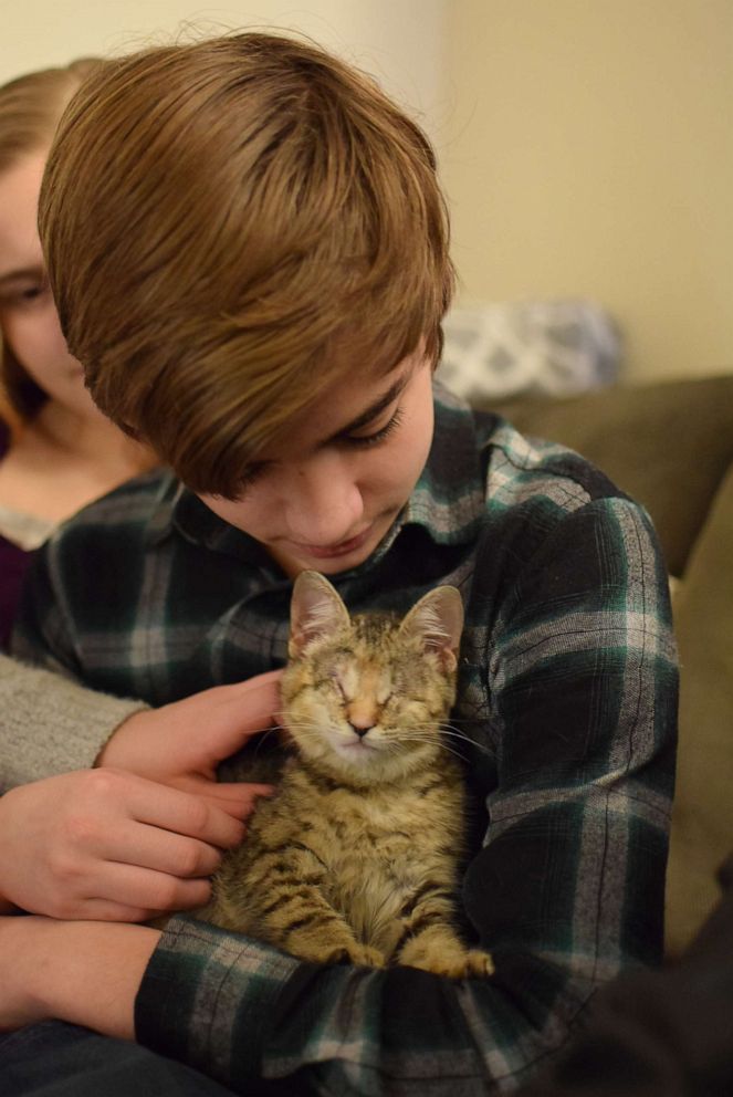 Ilene the kitten was found wrapped in a pile of trash by a good Samaritan in California and brought to the Oregon Humane Society. She has a condition which resulted in her blindness. She is held in this undated photo with one of her owners, Elijah, 14.