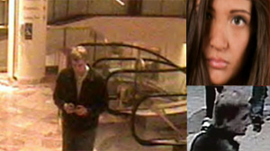 Is Julissa Brisman's Killer Finding Victims on Craigslist? - ABC News