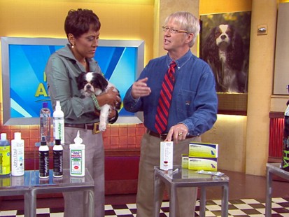 VIDEO: Marty Becker shows how to check your pet for allergies.