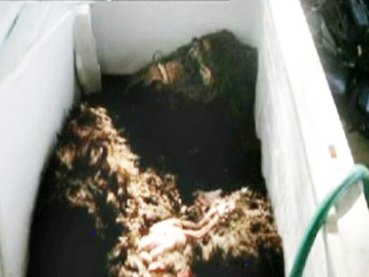 Possible Photo of Bigfoot