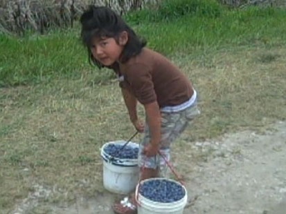 VIDEO: ABC News investigation uncovers underage children working in the fields.