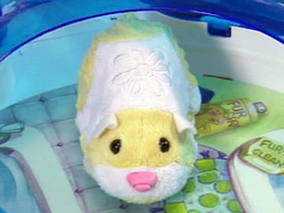 VIDEO: Consumer group says Zhu Zhu Pets may be unsafe for children.