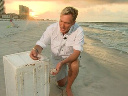 VIDEO: GMAs Sam Champion finds oily sheens in Pensacola, Florida.