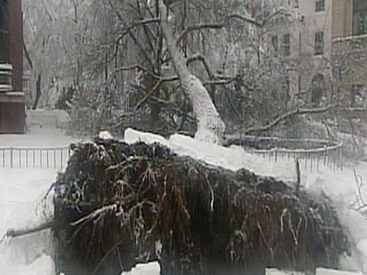 VIDEO: Winter Storm Aftermath