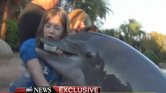 Dolphin Bites Girl At Seaworld Caught On Tape Jillian Thomas Interview On Gma Video Abc News 