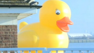 rubber duck floaty