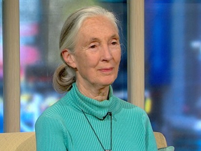 VIDEO: Author and environmentalist Jane Goodall talks about her new book.