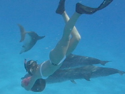 VIDEO: The actress speaks out against the killing of dolphins and whales in Japan.
