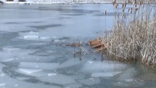 Video Boy, 12, Saves Sister in Icy Pond Rescue - ABC News