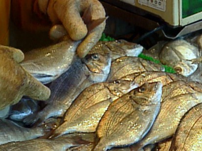 VIDEO: Fish that Contain High and Low Amounts of Mercury
