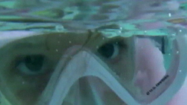 VIDEO: Swimming with the dangerous creatures was the parents idea.