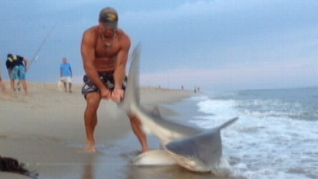 Video Caught on Tape: Man Wrestles Shark With Bare Hands - ABC News