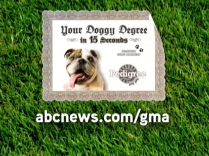 VIDEO: Find out how many times you should give your dog a bath.