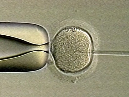 VIDEO: Embryo Mix-Up Woman Gives Birth, Faces Heartbreak Ahead