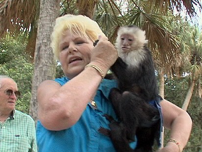 Monkey