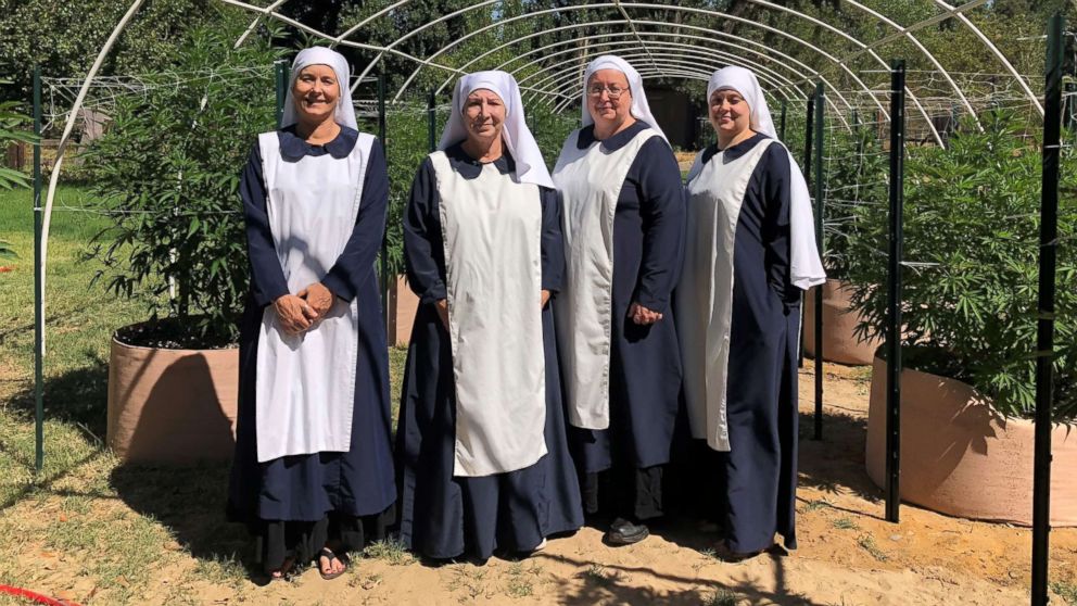 VIDEO:  Meet the 'weed nuns' who put faith in the healing powers, and profits, of cannabis