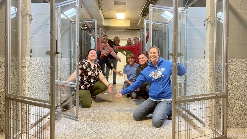 VIDEO: All dogs adopted at Pennsylvania shelter