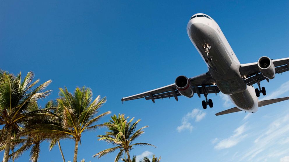 PHOTO: An undated stock photo of an airplane and palm trees. 