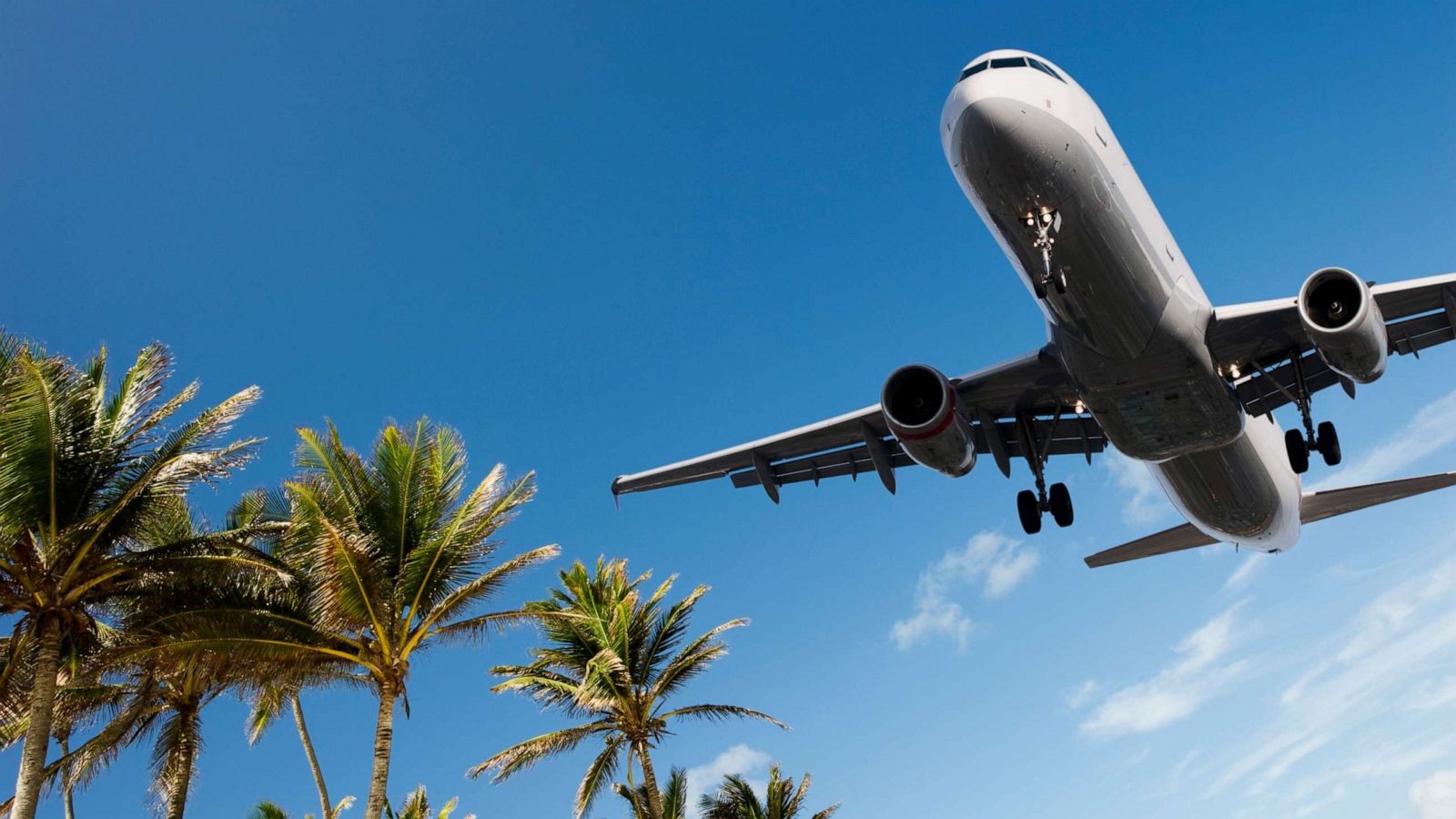 PHOTO: An undated stock photo of an airplane and palm trees.