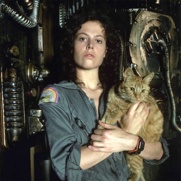 In Aliens (1986) when Carter shows Ellen Ripley a picture of her daughter Amanda  Ripley. The woman in the picture is Sigourney Weaver's mother :  r/MovieDetails