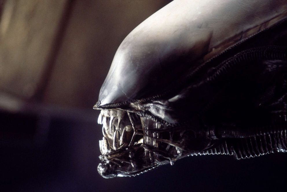 PHOTO: A scene from "Alien," 1979.