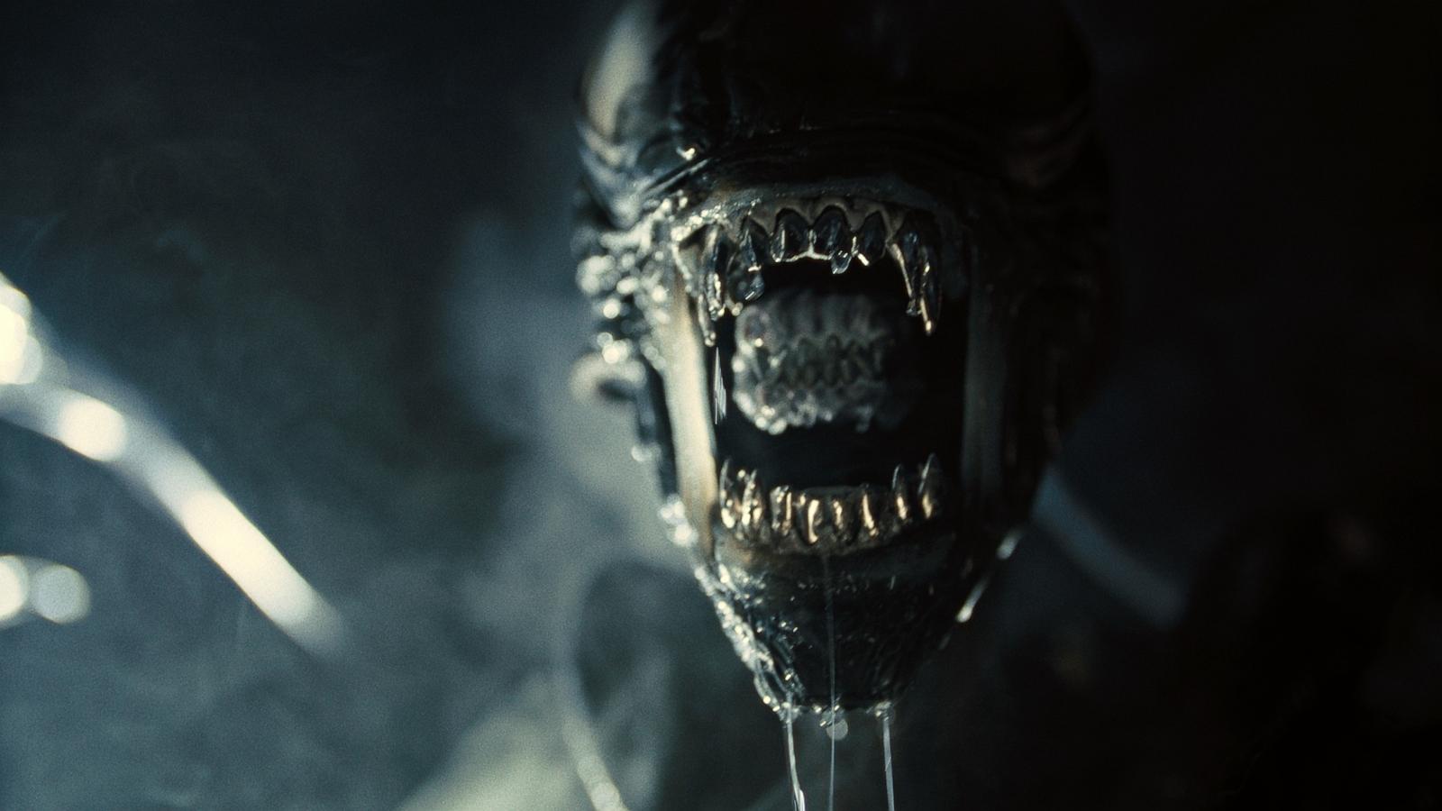 PHOTO: Xenomorph in 20th Century Studios' ALIEN: ROMULUS.