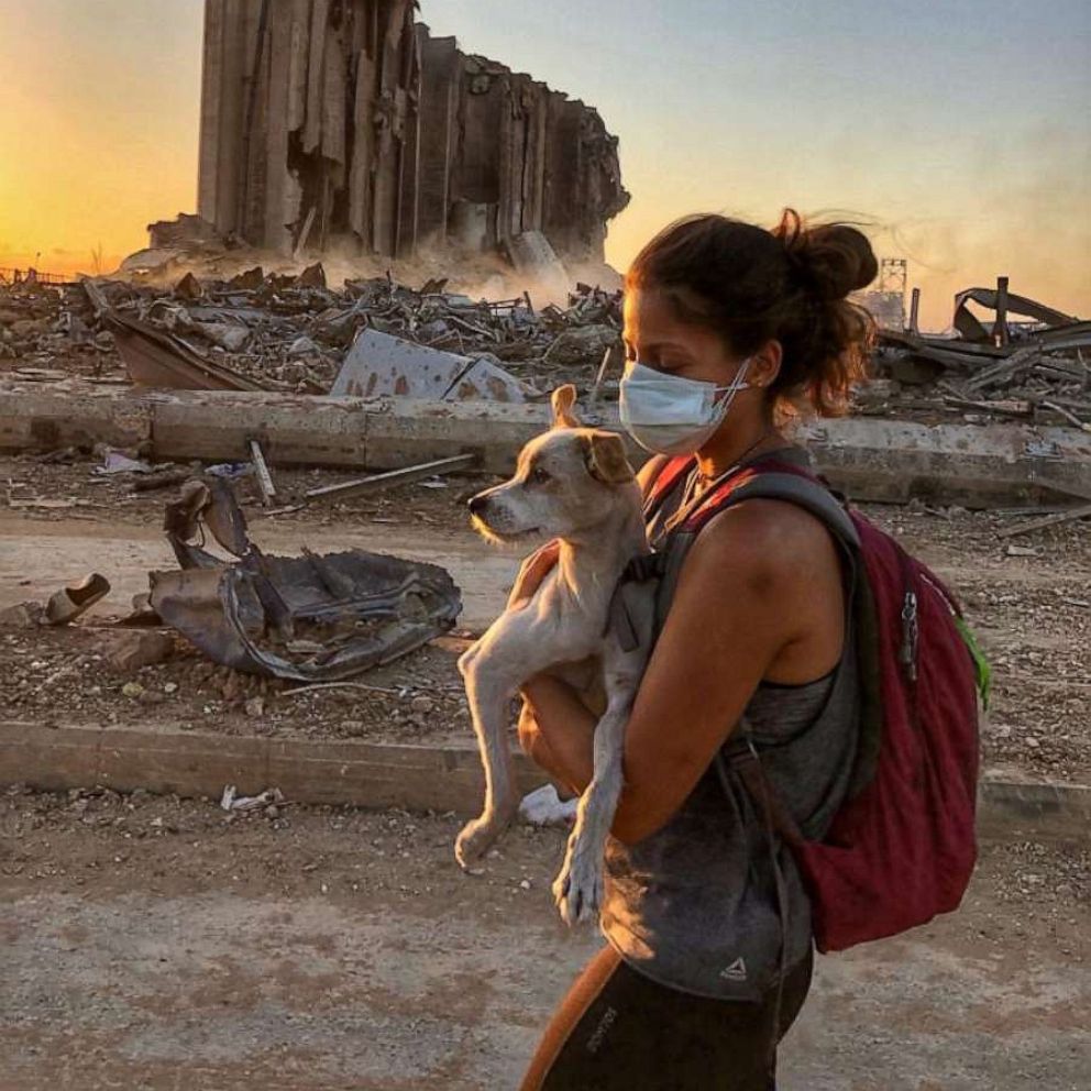 VIDEO: Pet parents reunite with their fur babies after massive explosion separated them 
