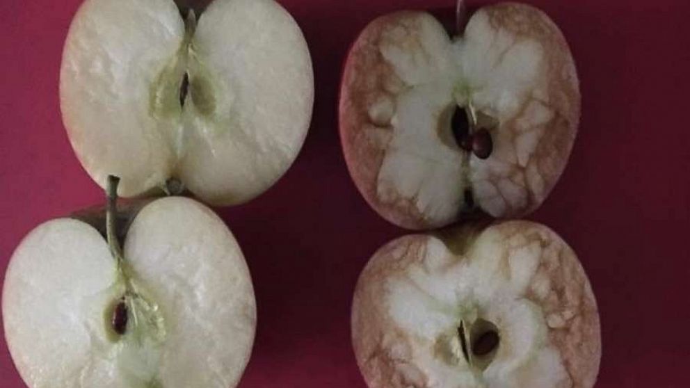 PHOTO: A mother's post showing a picture of apples is regaining attention on Facebook after being shared by the blog, Mum in the Moment.