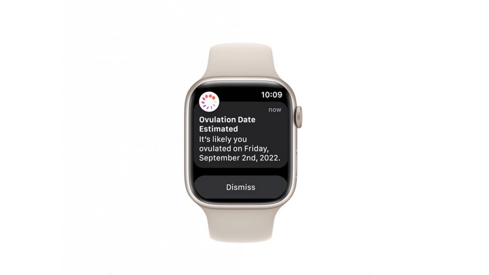 O app Apple Watch - Suporte da Apple (BR)