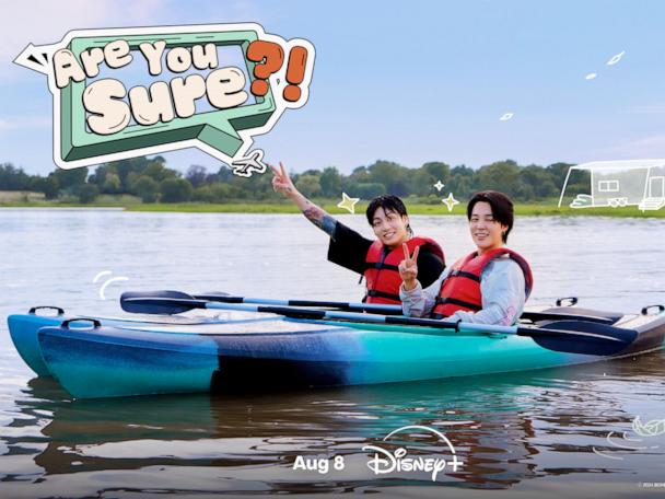 are-you-sure-disney-ht-thg-