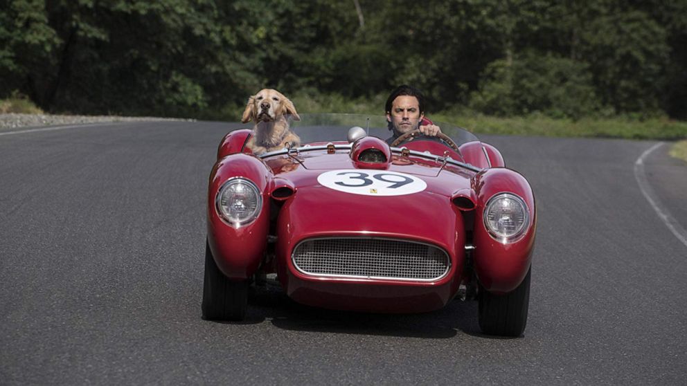 VIDEO: Milo Ventimiglia talks dogs, Costner and 'Art of Racing' 