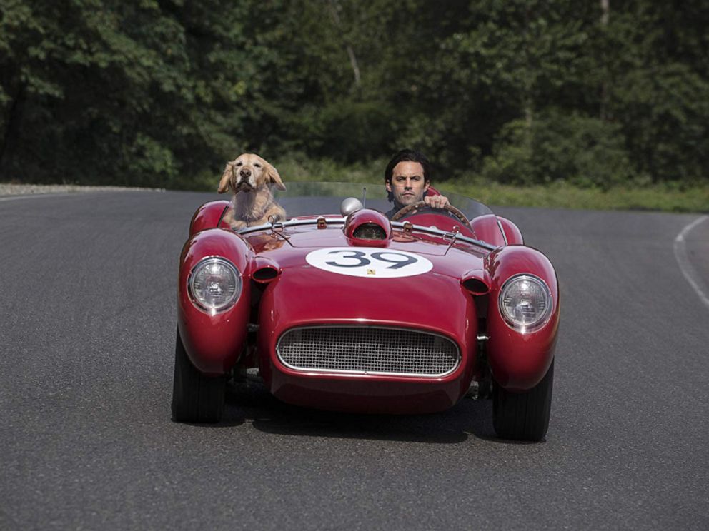 PHOTO: A scene from The Art of Racing in the Rain.