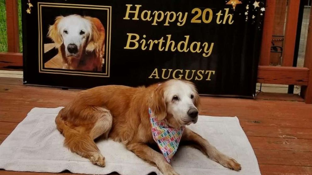 whats the oldest living dog