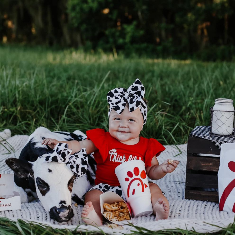 VIDEO: Baby poses with rescue calf in adorable Chick-fil-A photo shoot 