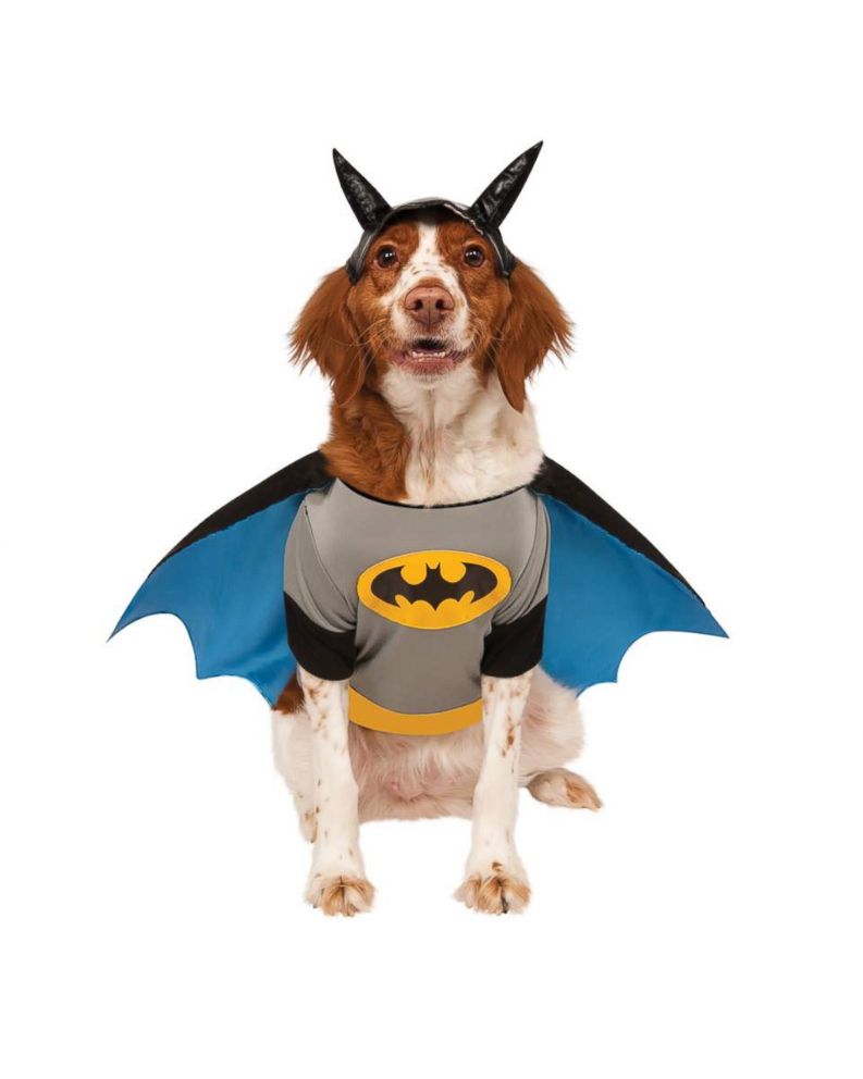 PHOTO: Batman Pet Costume - DC Comics