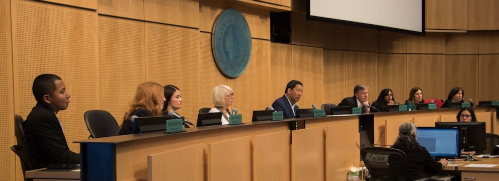 PHOTO: Members of the Seattle City Council listen during a discussion about Bea's Law on June 3, 2019.
