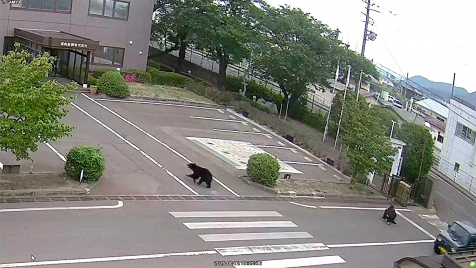 PHOTO: A bear that attacked four individuals in Fukushima, Japan, has escaped capture from a steel factory.