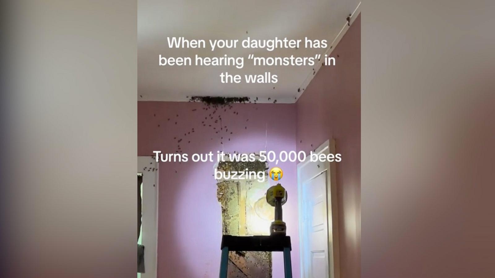 PHOTO: Ashley Class shared a TikTok video after learning her daughter’s complaints about “monsters” in her bedroom turned out to be tens of thousands of bees