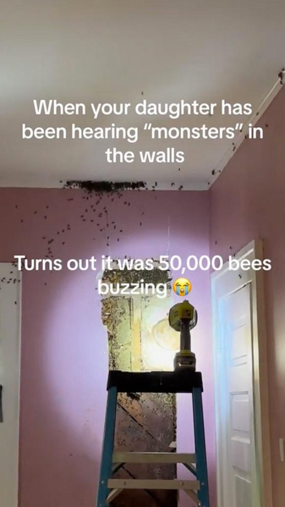 VIDEO: Toddler thought there were ‘monsters’ in the bedroom. Turns out to be massive beehive