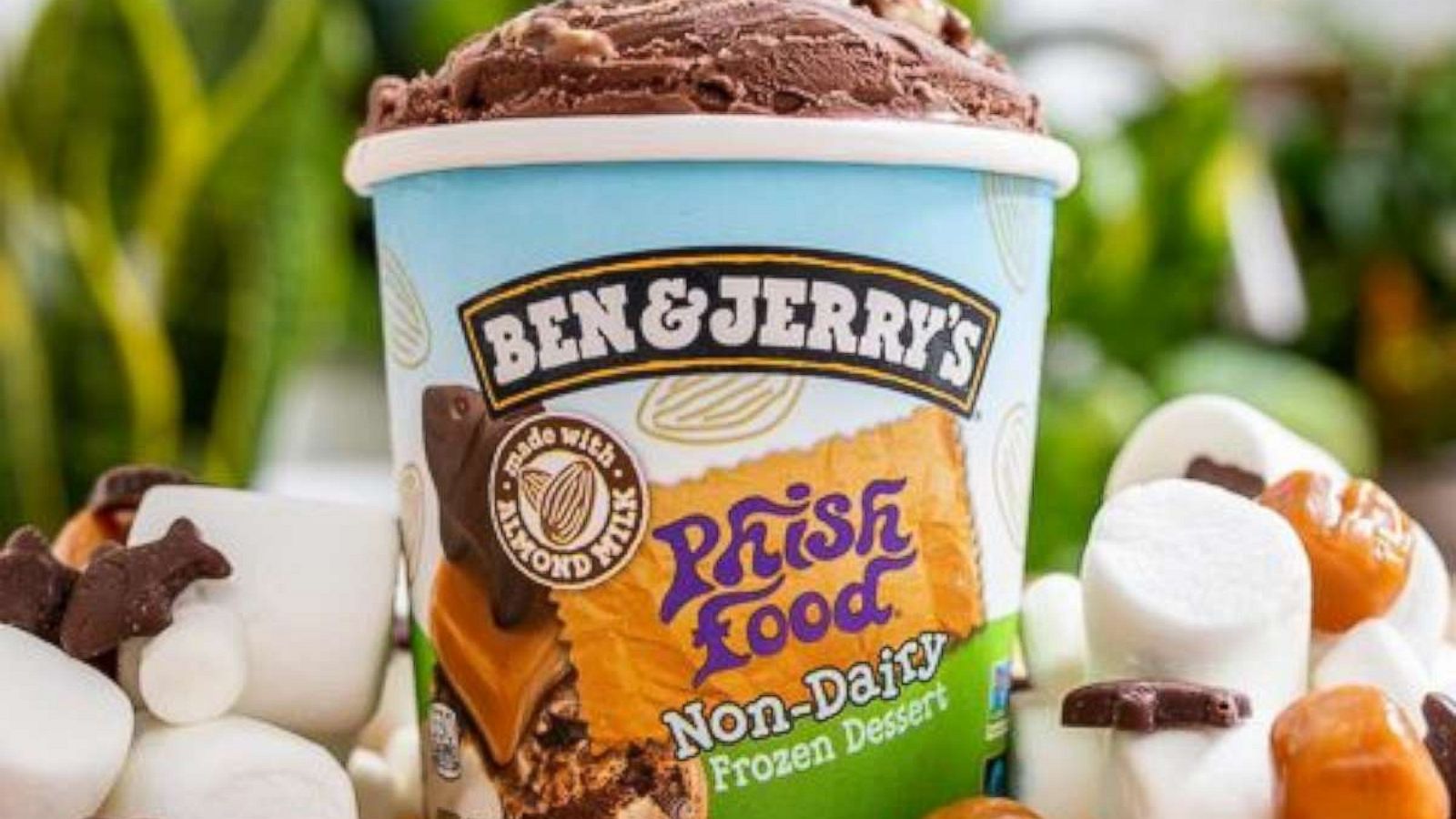 PHOTO: New non-dairy Phish Food from Ben & Jerry's.