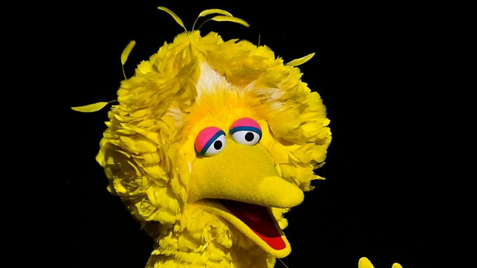 PHOTO: An actor dressed as Sesame Street character "Big Bird" speaks during an Apple Inc. event in Cupertino, Calif., March 25, 2019.