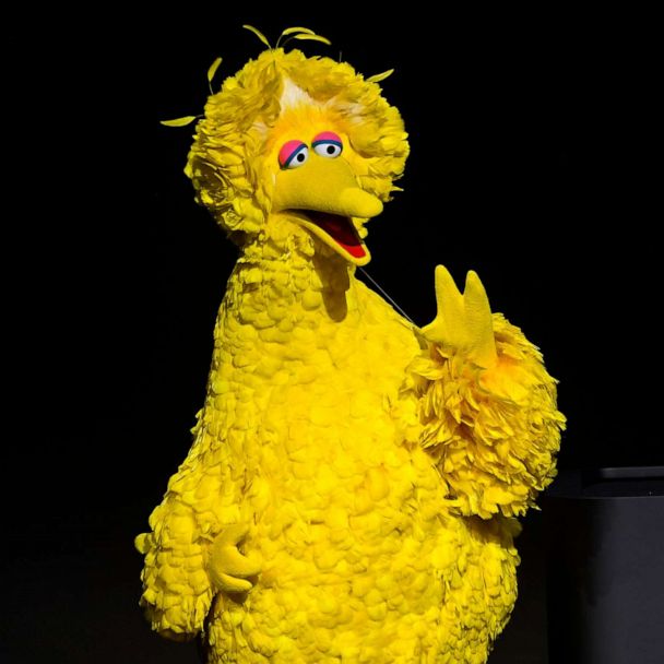 Big Bird has been vaccinated against COVID-19 - ABC News