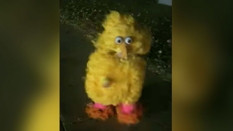 We are here for this toddler dressed as Big Bird for Halloween