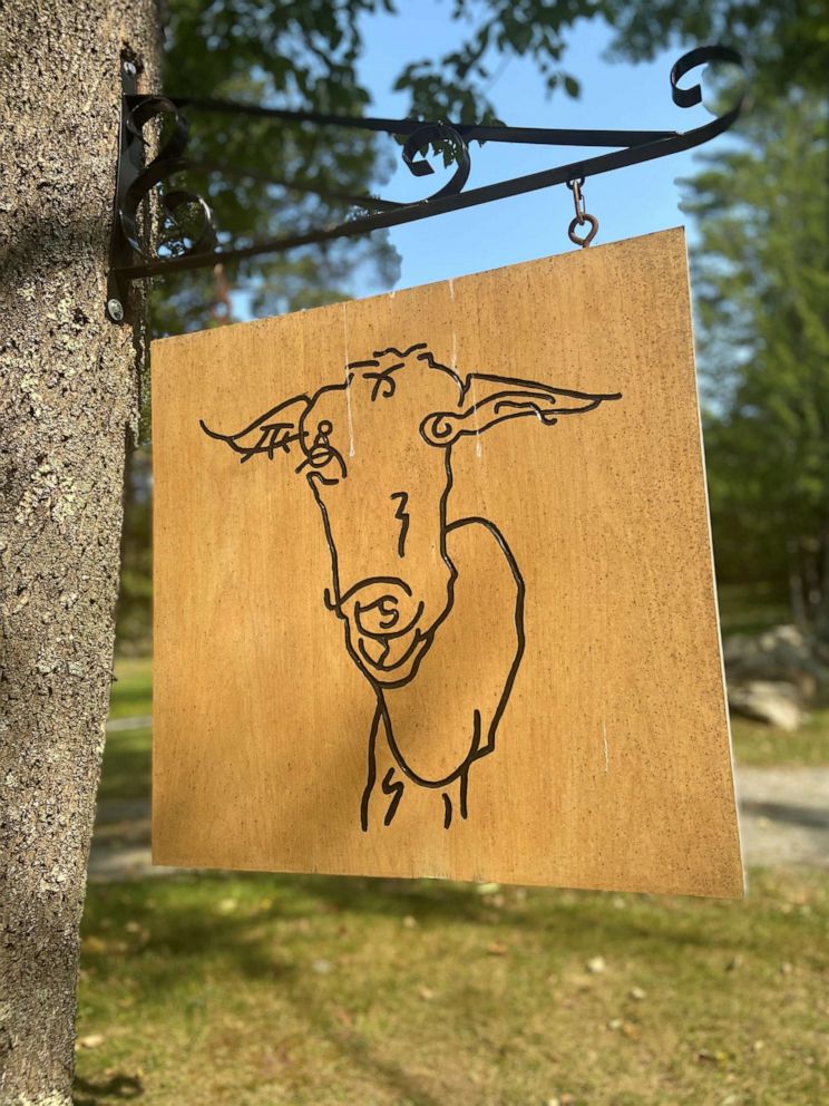 PHOTO: In 2010, Louisa Conrad and Lucas Farrell started Big Picture Farm, a small hillside goat dairy and farmstead confectionery and creamery located in Townshend, Vermont.
