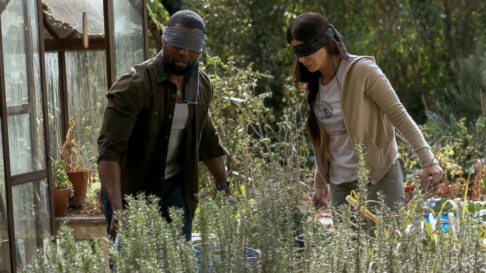 Netflix warns people not to do the 'Bird Box Challenge' - ABC News
