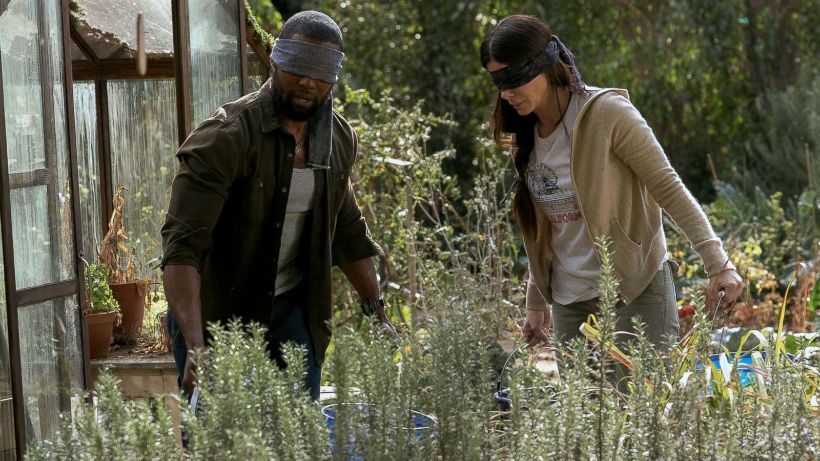 PHOTO: Sandra Bullock and Trevante Rhodes appear in a scene from "Bird Box."