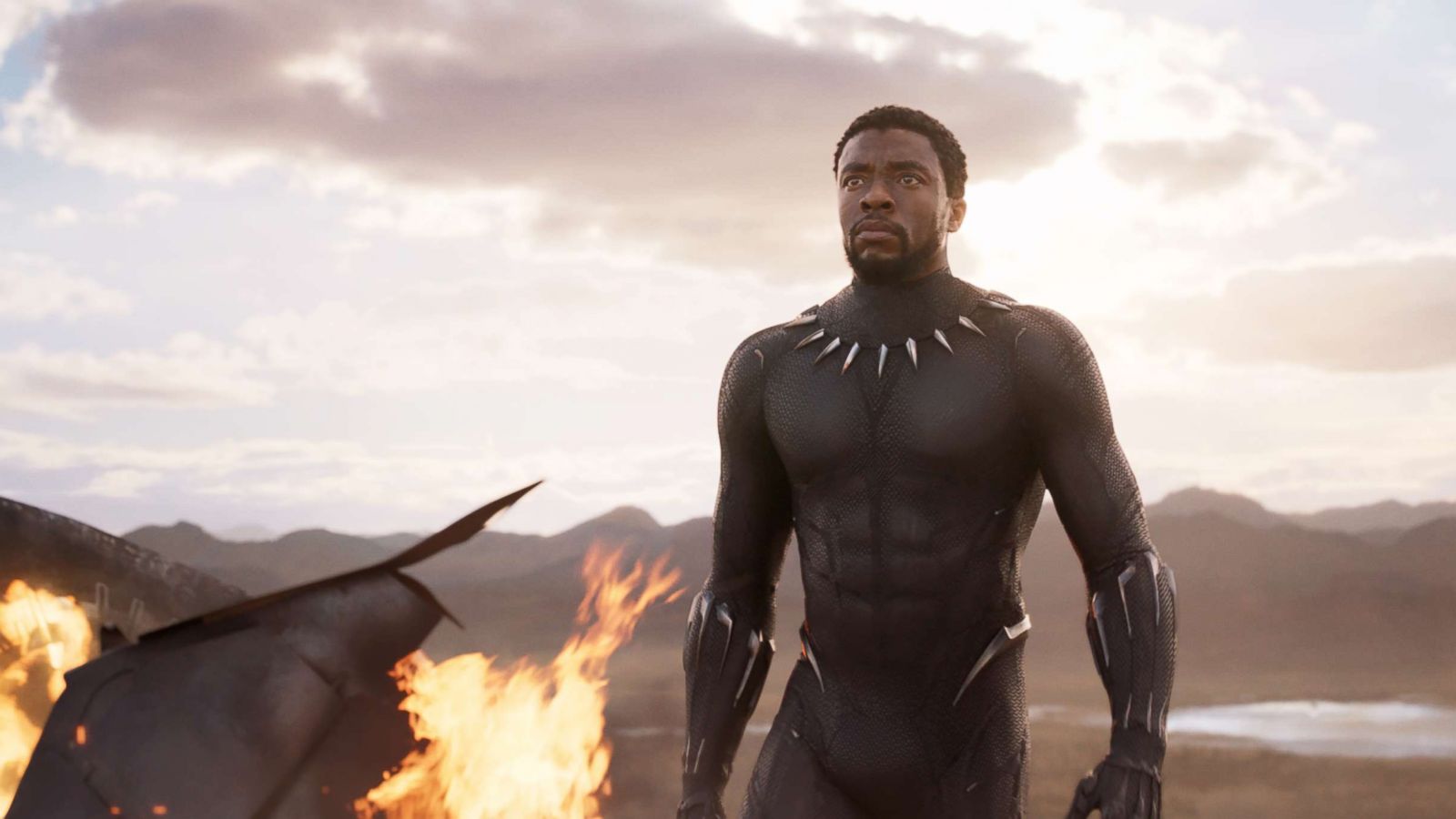 PHOTO: Chadwick Boseman in a scene from the movie, "Black Panther."