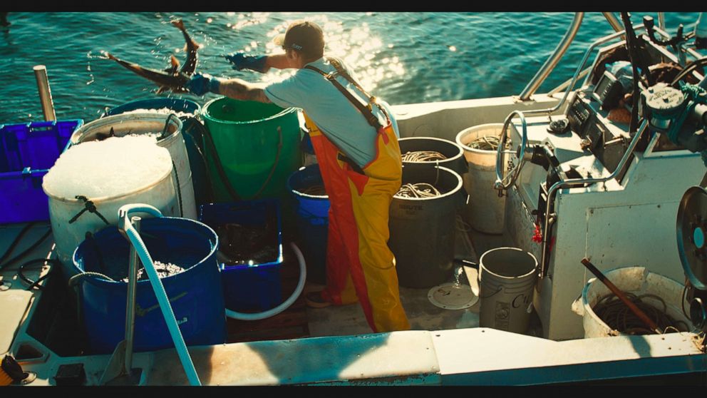 PHOTO: A small-scale fisherman working on deck.