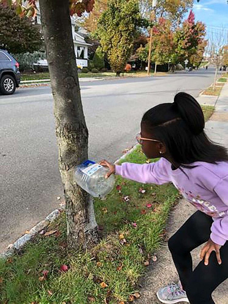 PHOTO: Bobbi Wilson catches lantern flies in her neighborhood